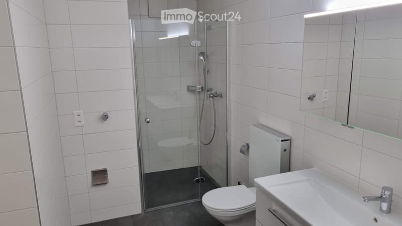 Grosse 4.5-Zimmer-Wohnung (1. OG) (3)