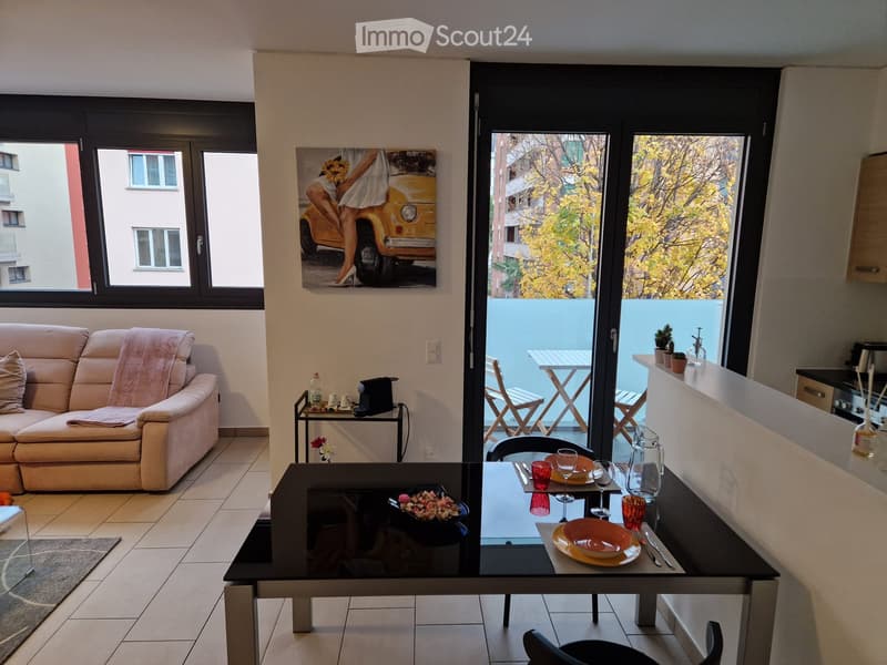 Appartamento moderno per affitto breve Lugano (5)