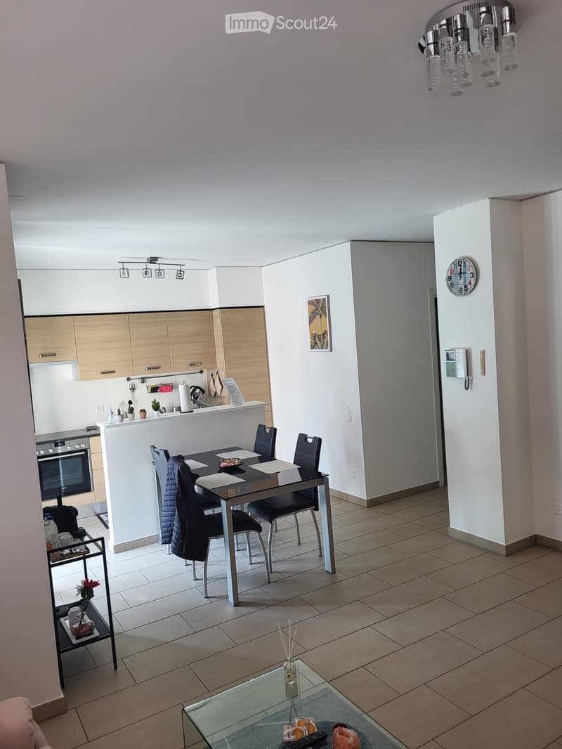 Appartamento moderno per affitto breve Lugano (4)