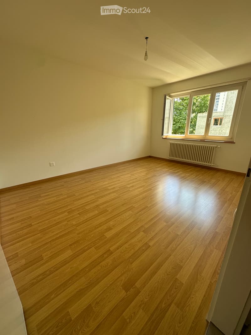 WG Zimmer (3)