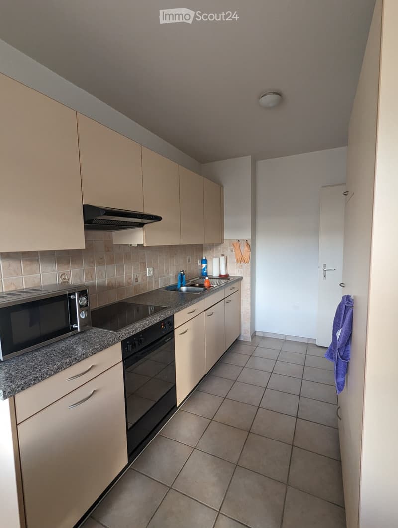 1.5-Zi-Wohnung mit Balkon & Weitblick am Schwarzpark Basel (2)