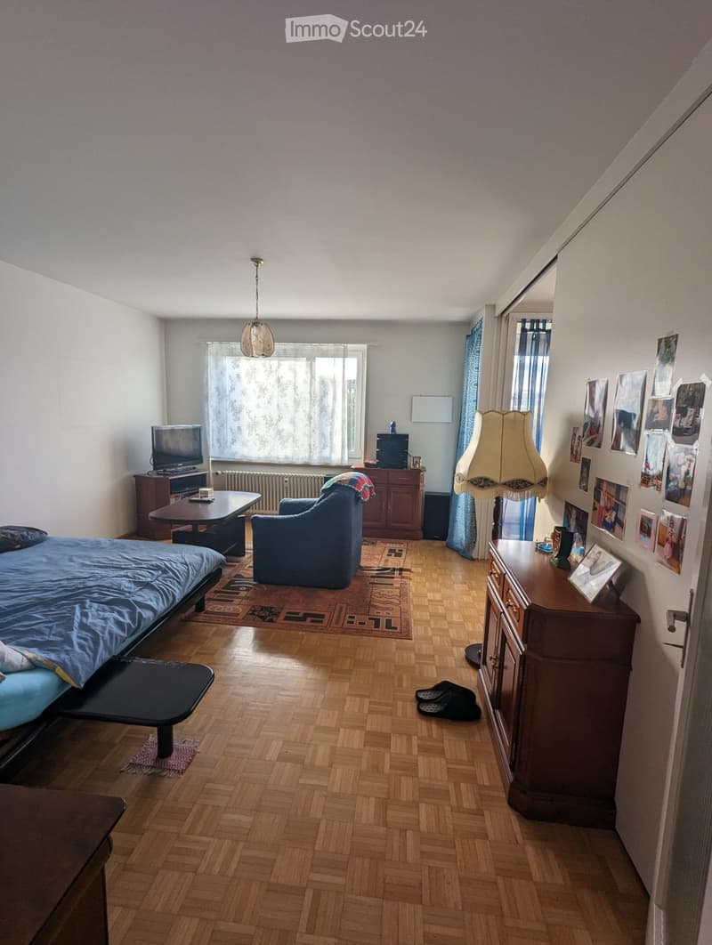 1.5-Zi-Wohnung mit Balkon & Weitblick am Schwarzpark Basel (5)