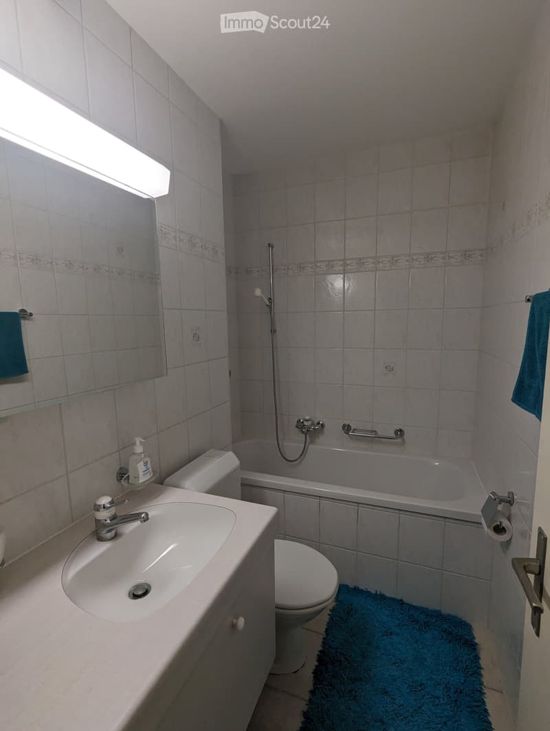 1.5-Zi-Wohnung mit Balkon & Weitblick am Schwarzpark Basel (4)