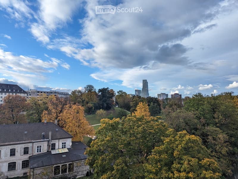 1.5-Zi-Wohnung mit Balkon & Weitblick am Schwarzpark Basel (1)