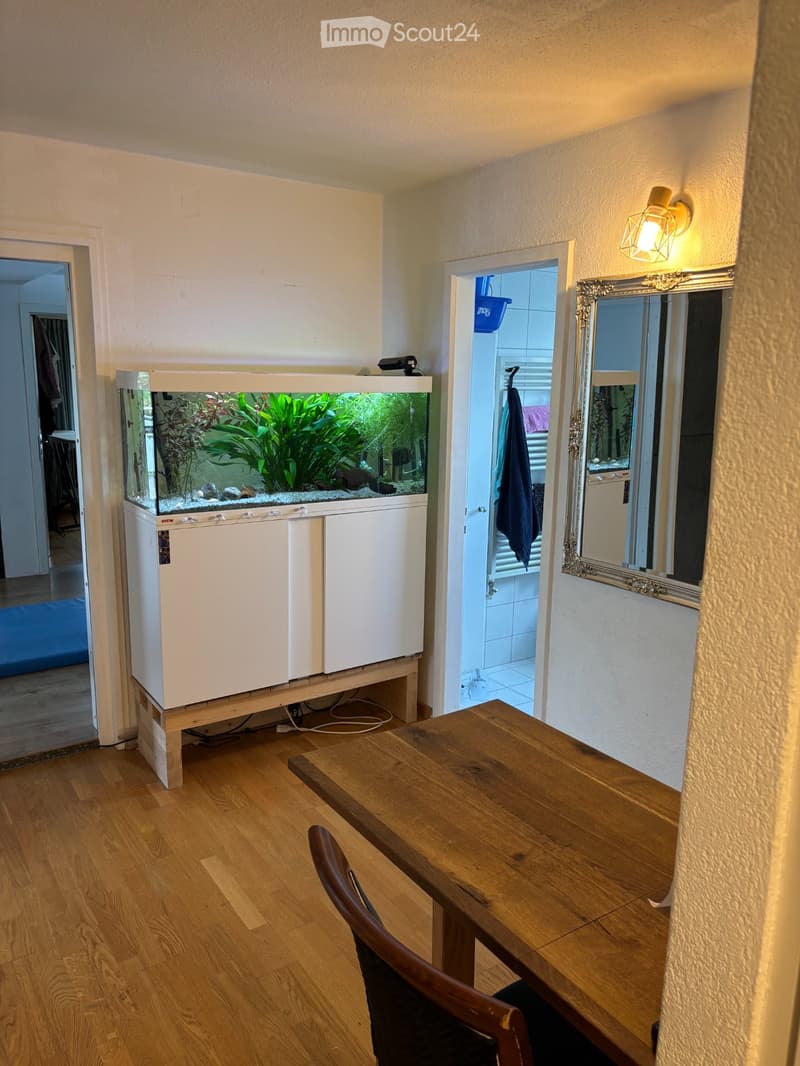 Zwei WG- Zimmer für einen Mann (2)