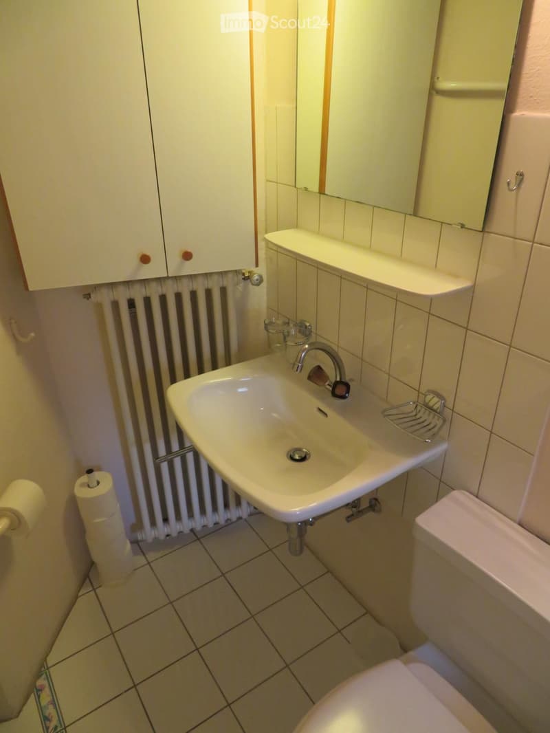 Tessin Winter Wohnung Muralto Locarno Appartamento Inverno (5)