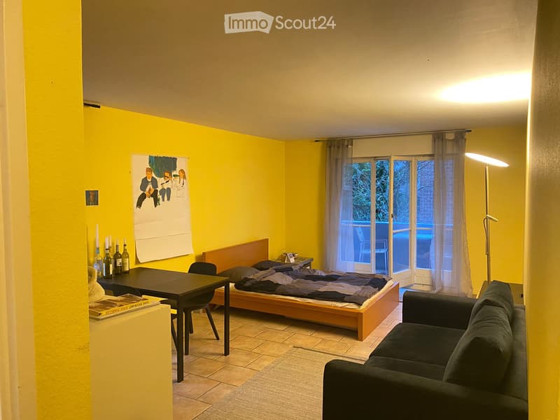 Furnished Apartment in Zurich-Seefeld (2)