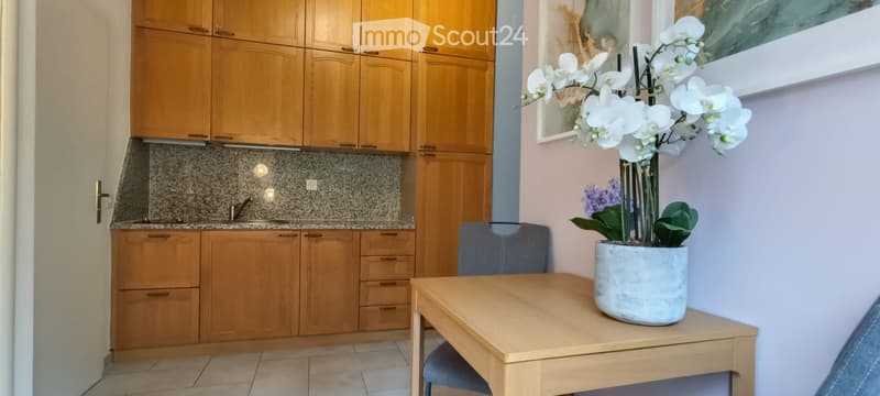 Ferienstudio in Muralto  möbliert, Monats- oder Jahresmiete (4)