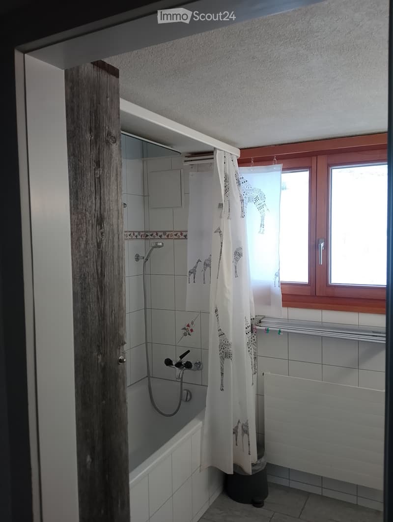 WG Zimmer zu Vermieten in der Natur nur für Männer (3)