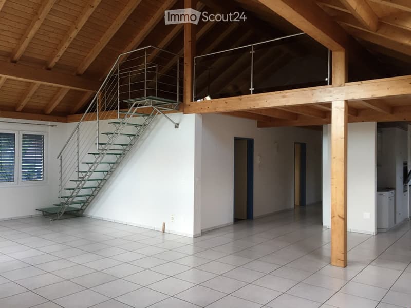 4.5 Zimmerwohnung (266 m2) mit Balkon und Galerie (1)