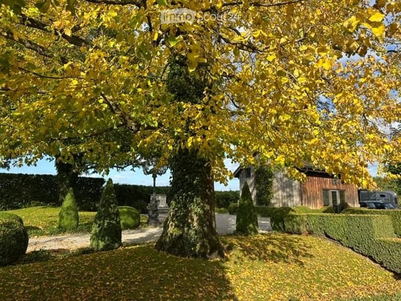Charmante 2,5-Zimmer-Wohnung (50 m²) auf einem Pferdehof (1)