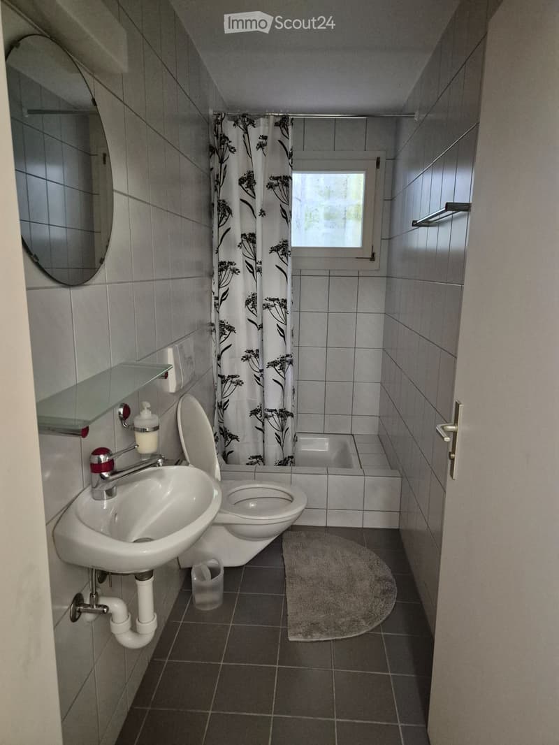 Mitbewohner:in gesucht (2)