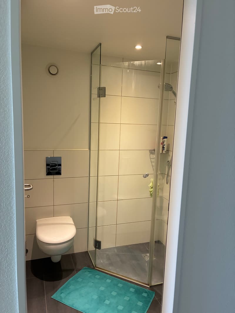 Ab 1 November bis ende April Möblierte 3 1/2 Zimmer Wohnung (5)