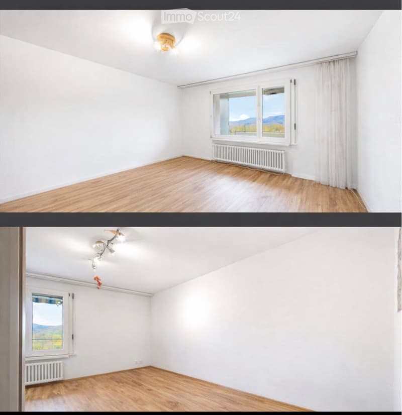 Wohnung in Brugg AG (4)