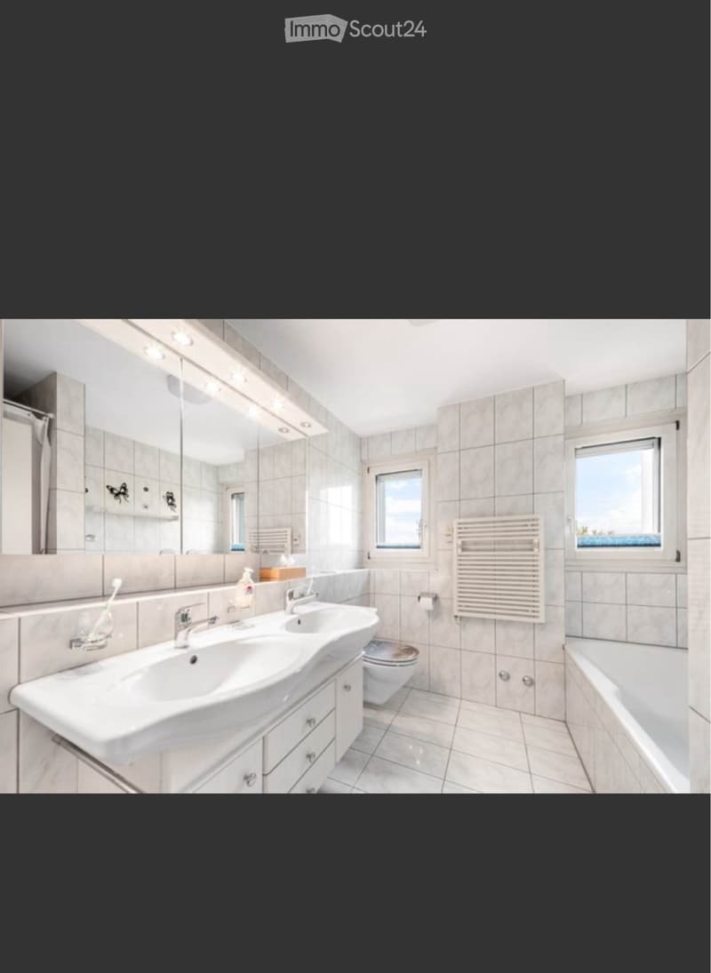 Wohnung in Brugg AG (3)