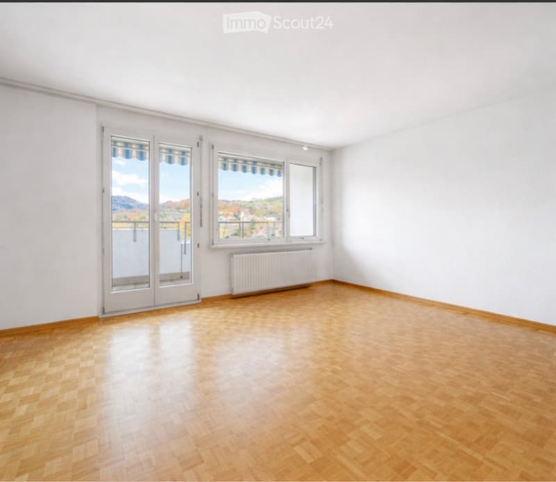 Wohnung in Brugg AG (2)