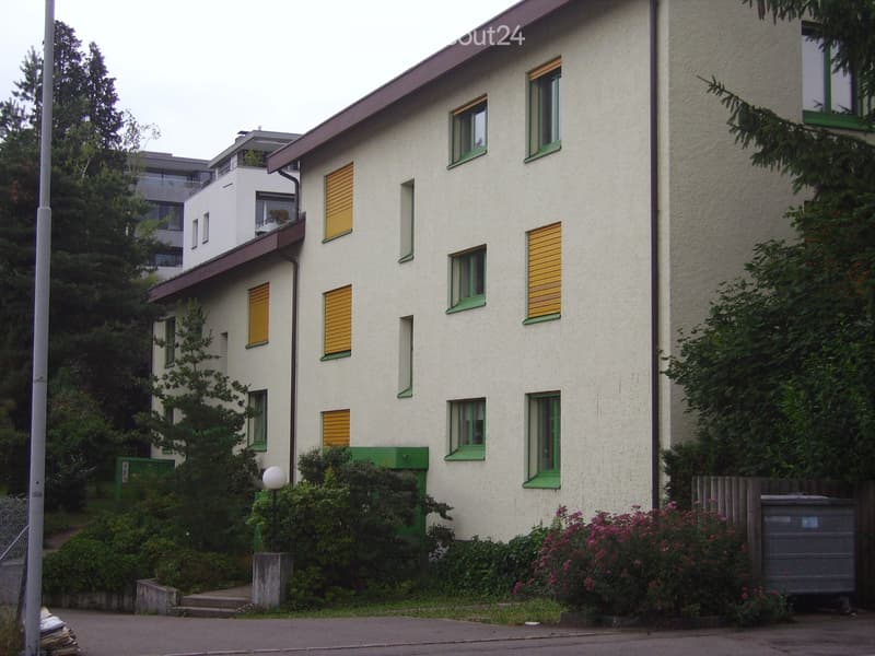 Helle 2½-Zimmer-Dachwohnung in Kilchberg (1)