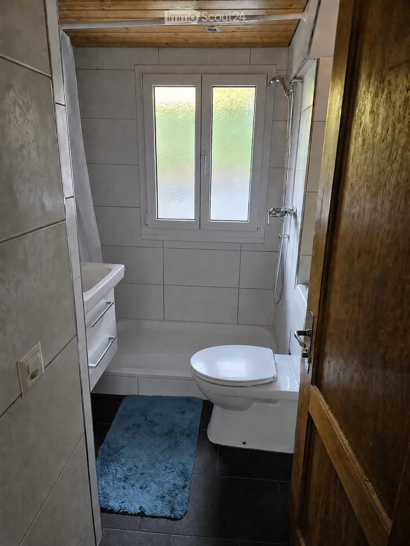 3.5 Zimmer Wohnung mit Balkon und Terrasse (2)