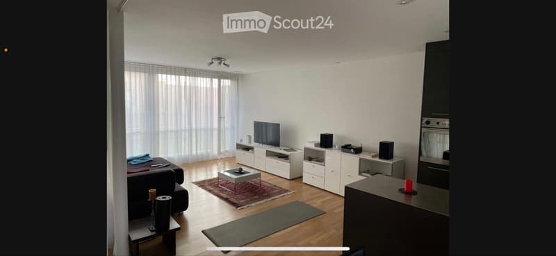 moderne 2.5 Zimmer Wohnung Rothrist (5)