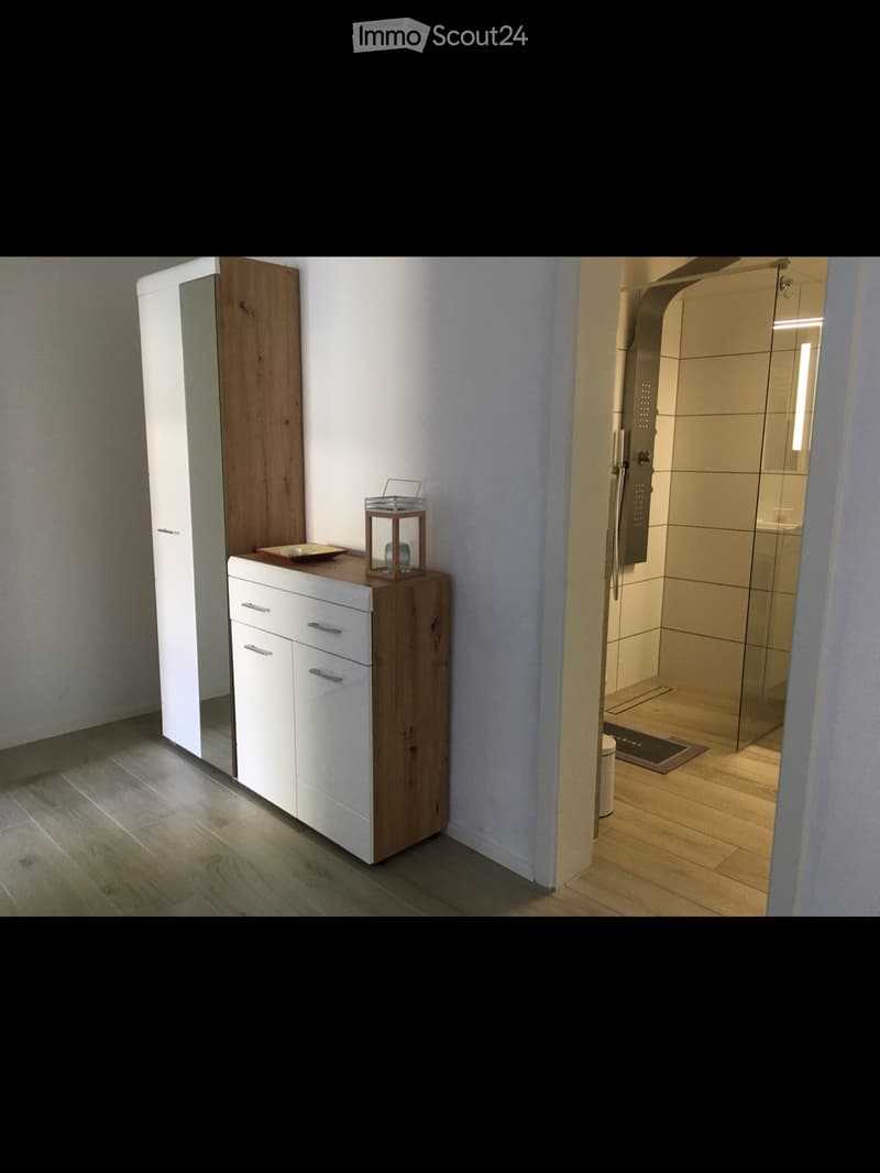 Appartamento 1.5 locali ammobiliato. (4)