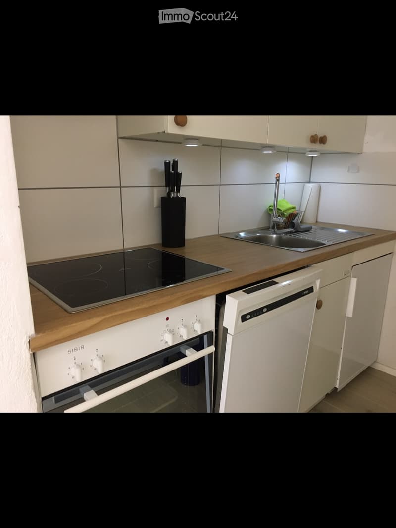 Appartamento 1.5 locali ammobiliato. (2)