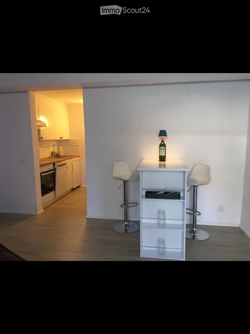 Appartamento 1.5 locali ammobiliato. (3)