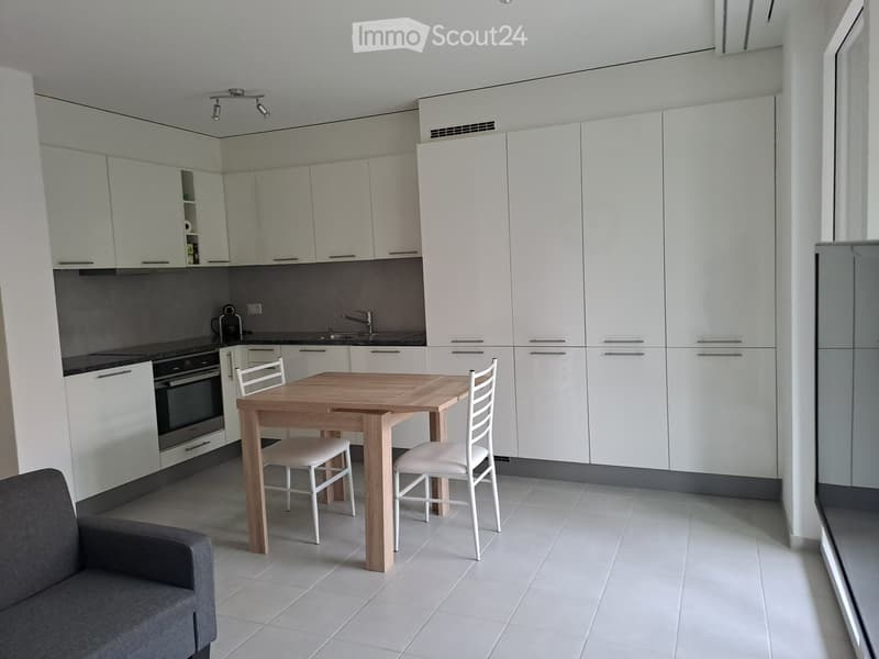 Appartement meublé, 2 pièces, Nyon centre (1)