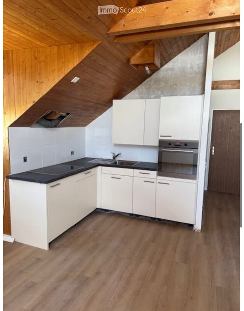 1-Zimmer Dachwohnung frisch renoviert (2)