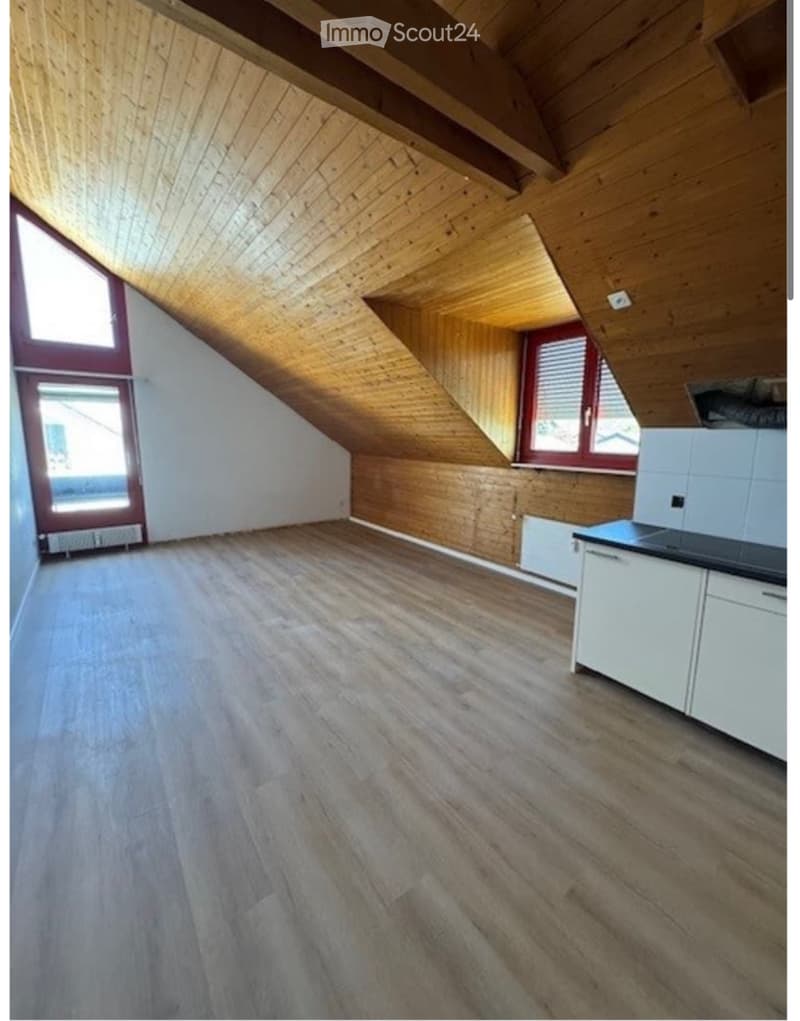 1-Zimmer Dachwohnung frisch renoviert (1)