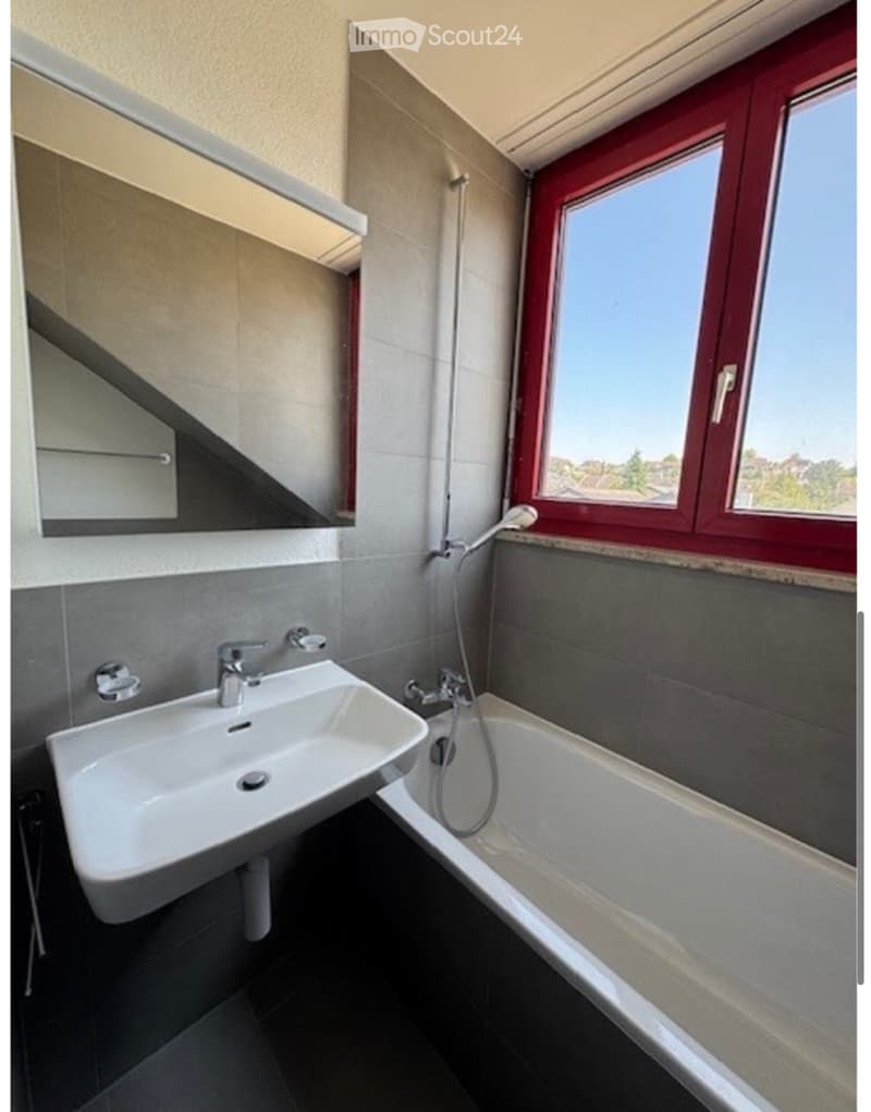 1-Zimmer Dachwohnung frisch renoviert (3)