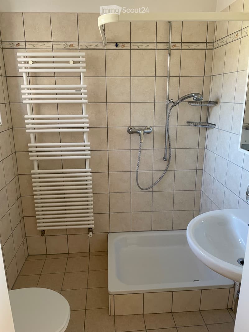 Affittasi 3 locali a Ligornetto (5)