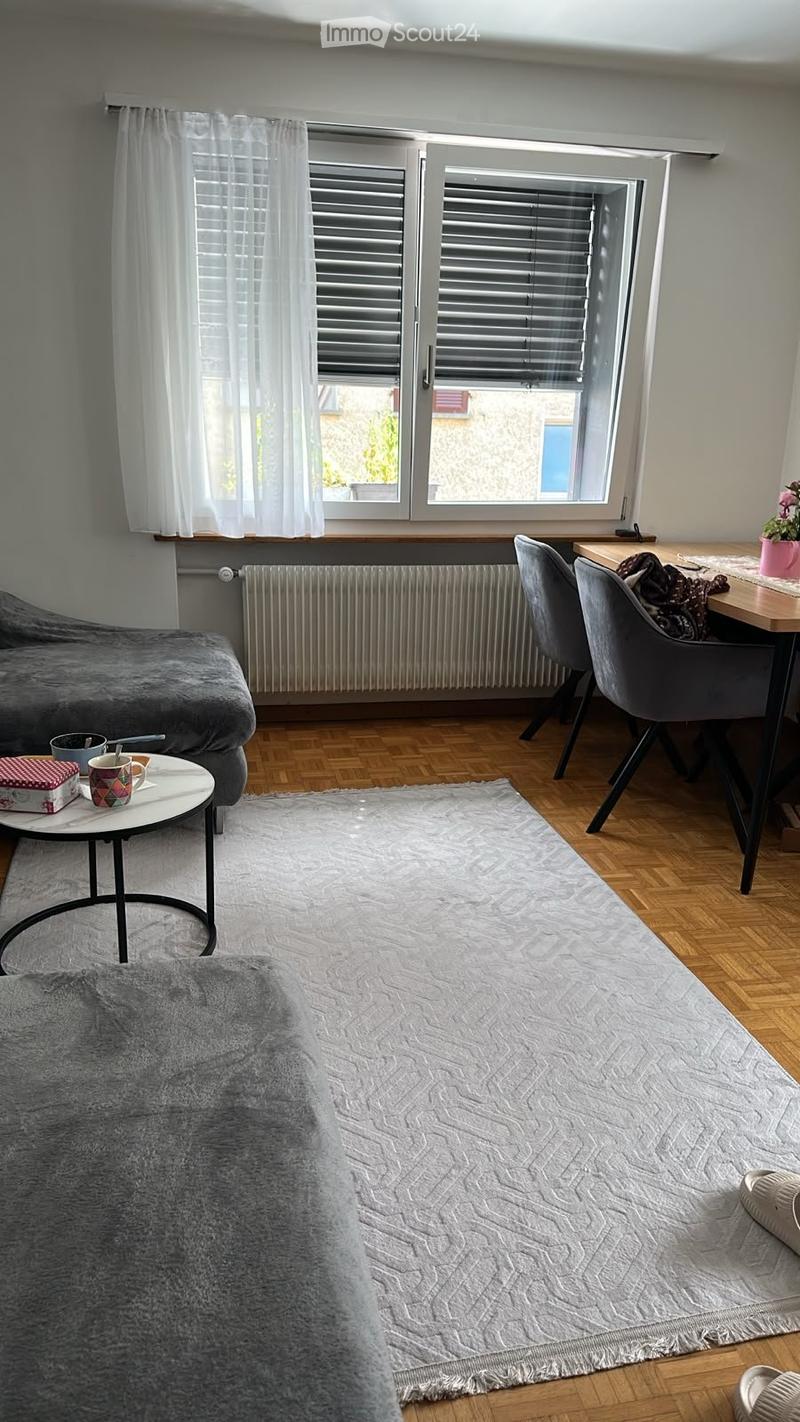 Geräumige , helle Wohnung, mit Balkon (1)