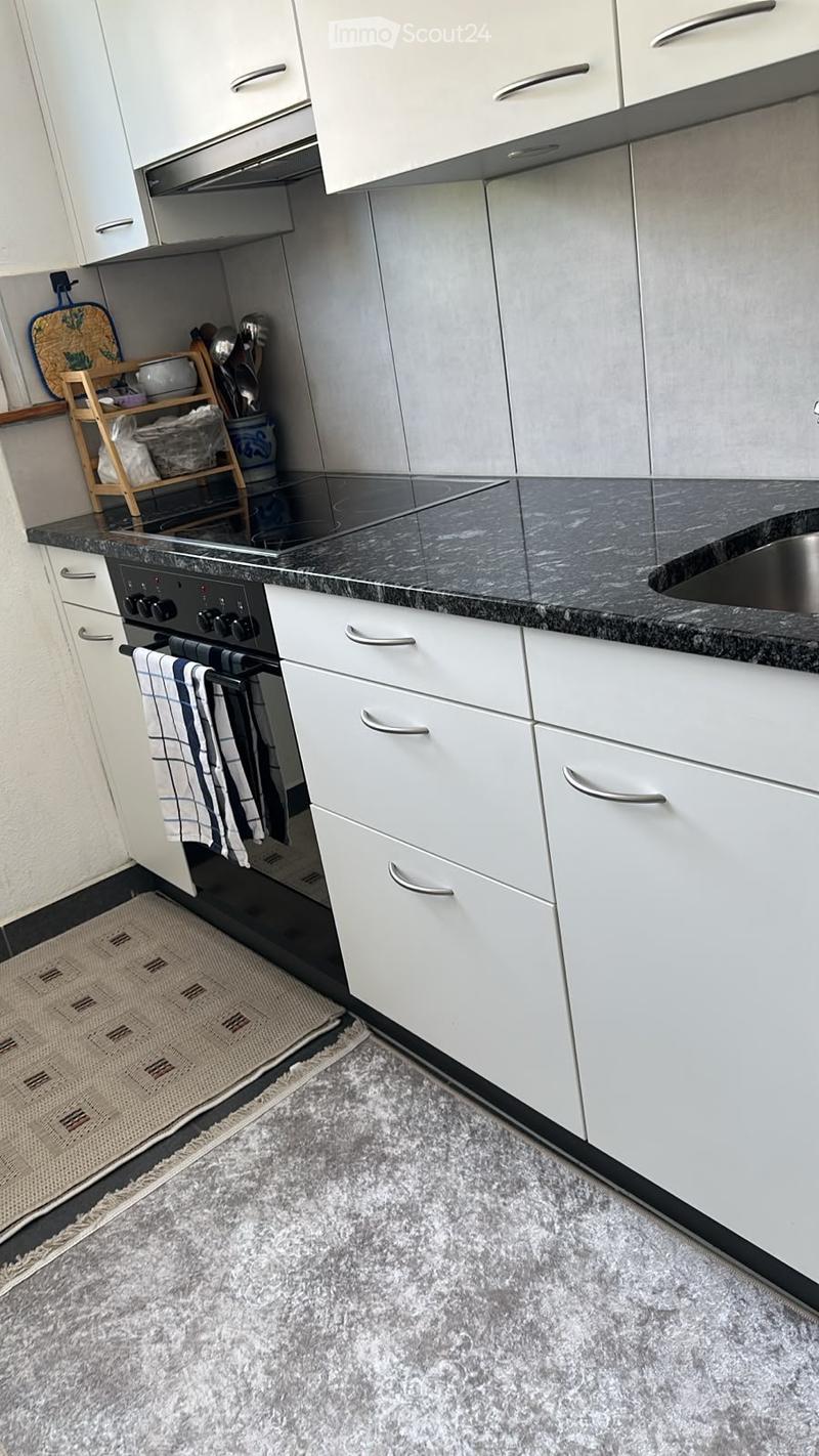 Geräumige , helle Wohnung, mit Balkon (4)