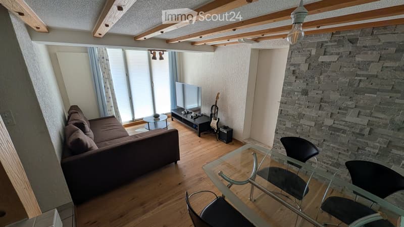 Helle zentrale 3- Zimmerwohnung - auch als Ferienwohnung (1)