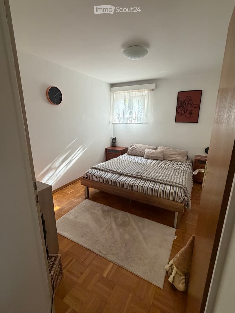 Cerco subentrante 3.5 con giardino (4)
