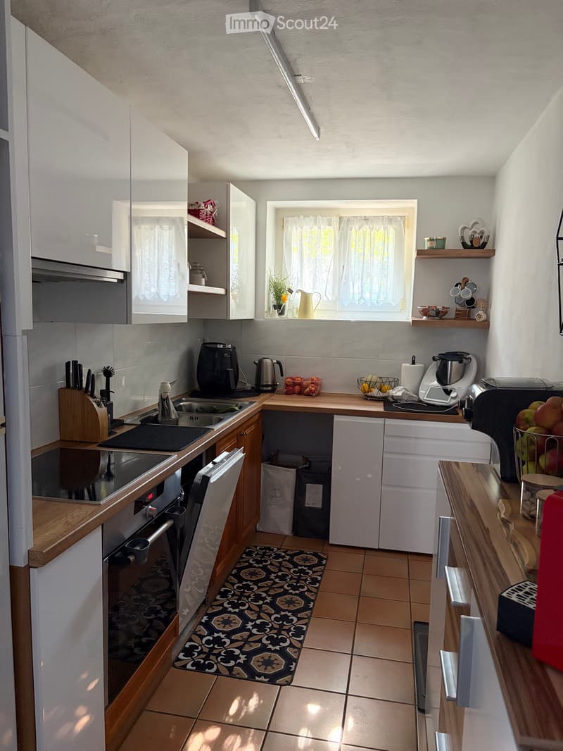 Cerco subentrante 3.5 con giardino (5)