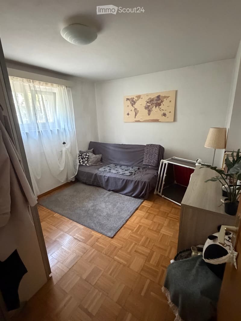 Cerco subentrante 3.5 con giardino (2)