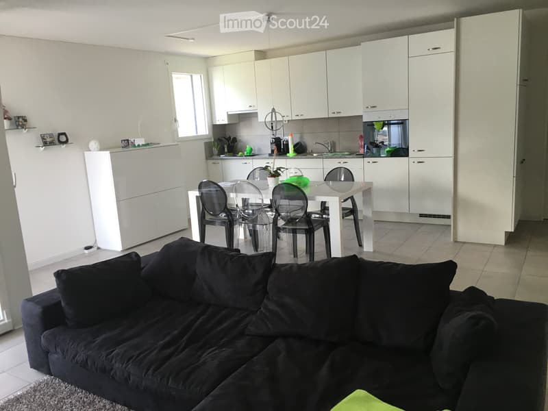 Bellinzona 3 e 1/2 locali (2)