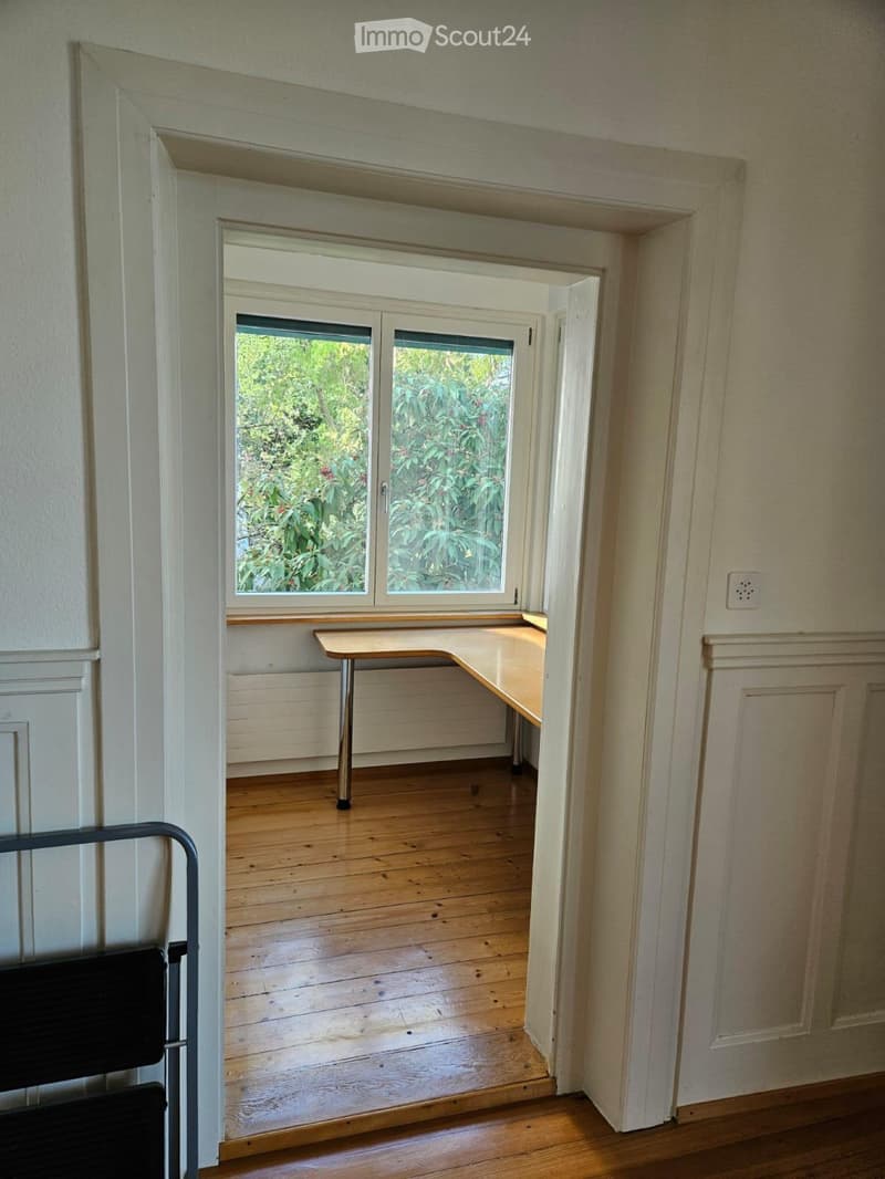 Schöne helle Wohnung 3,5 Zimmer (4)