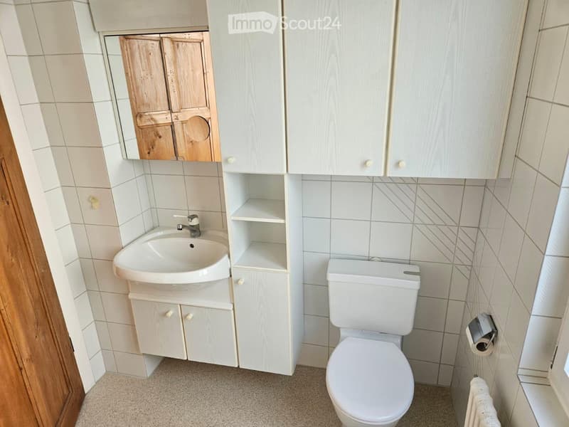 Schöne helle Wohnung 3,5 Zimmer (1)