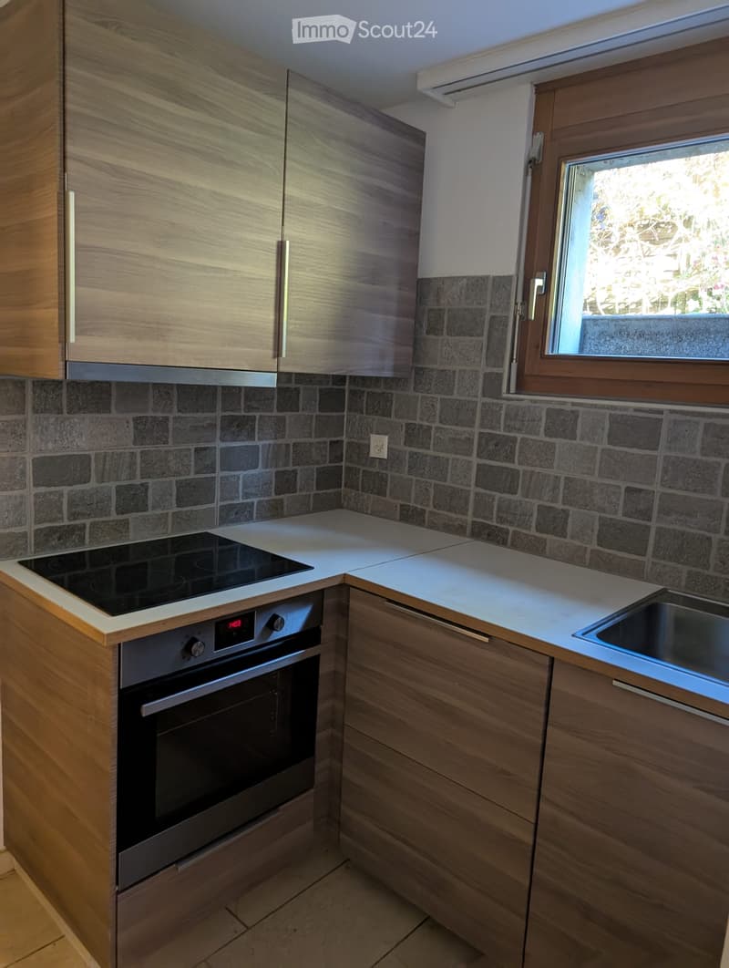 schöne 3-Zimmer-Wohnung in Reinach (3)