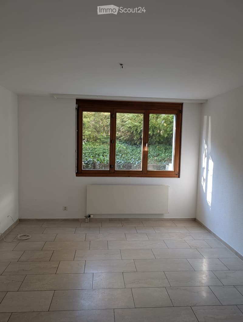 schöne 3-Zimmer-Wohnung in Reinach (1)