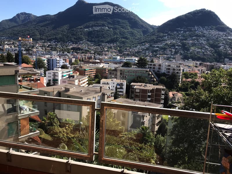 AFFITTASI APPARTAMENTO 3.5 LOCALI LUGANO (5)