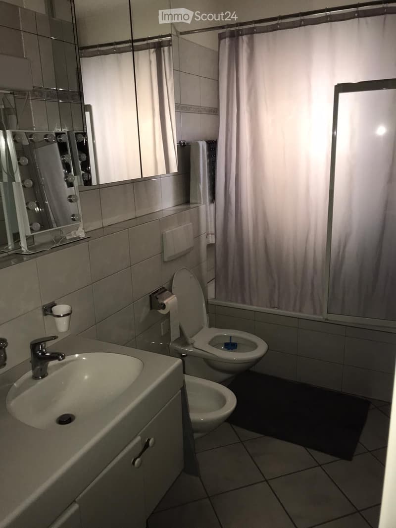 AFFITTASI APPARTAMENTO 3.5 LOCALI LUGANO (3)