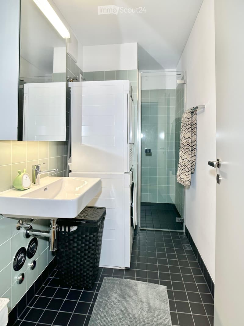 Befristet, möbliert: Moderne 4.5-Zimmer-Wohnung mit Seesicht (11)