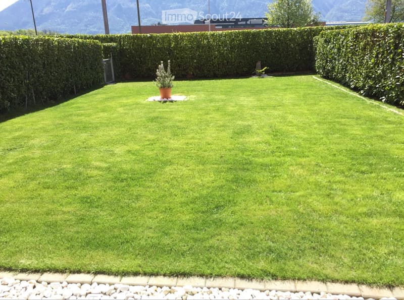 Bellissimo appartamento con giardino 3.5 locali a Tenero (2)