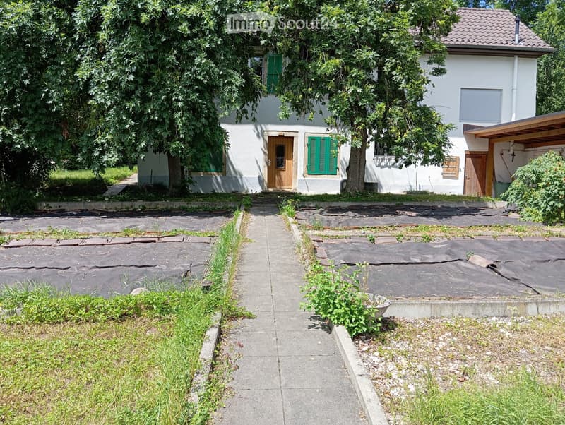 Freistehendes Einfamilienhaus mit grossen Grundstück (1)