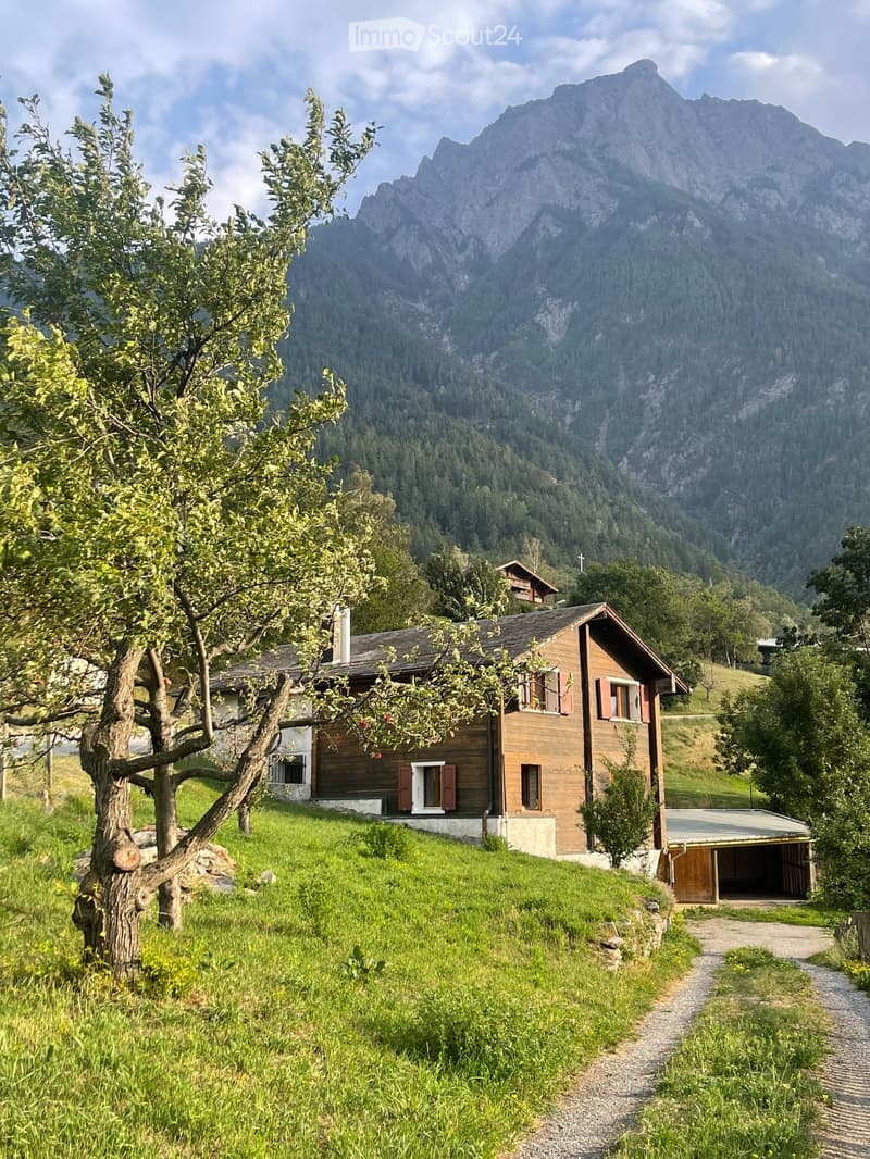 Einfamilienhaus im Grünen (1)