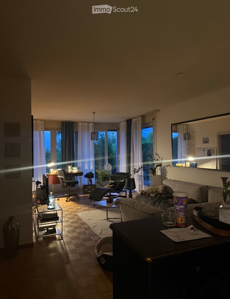 Appartamento con giardino e vista lago (1)