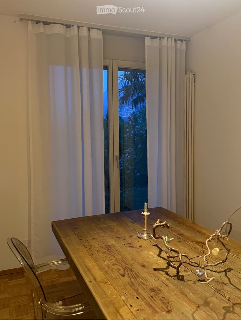 Appartamento con giardino e vista lago (5)